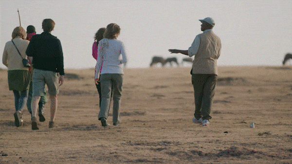 walking safari