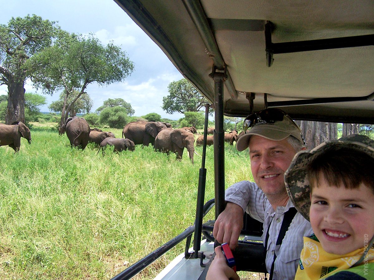 wildlife viewing in tanzania on family safari
