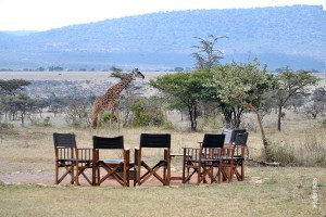 giraffes at Thomson's eastern serengeti camp