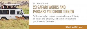 swahili words and phrases