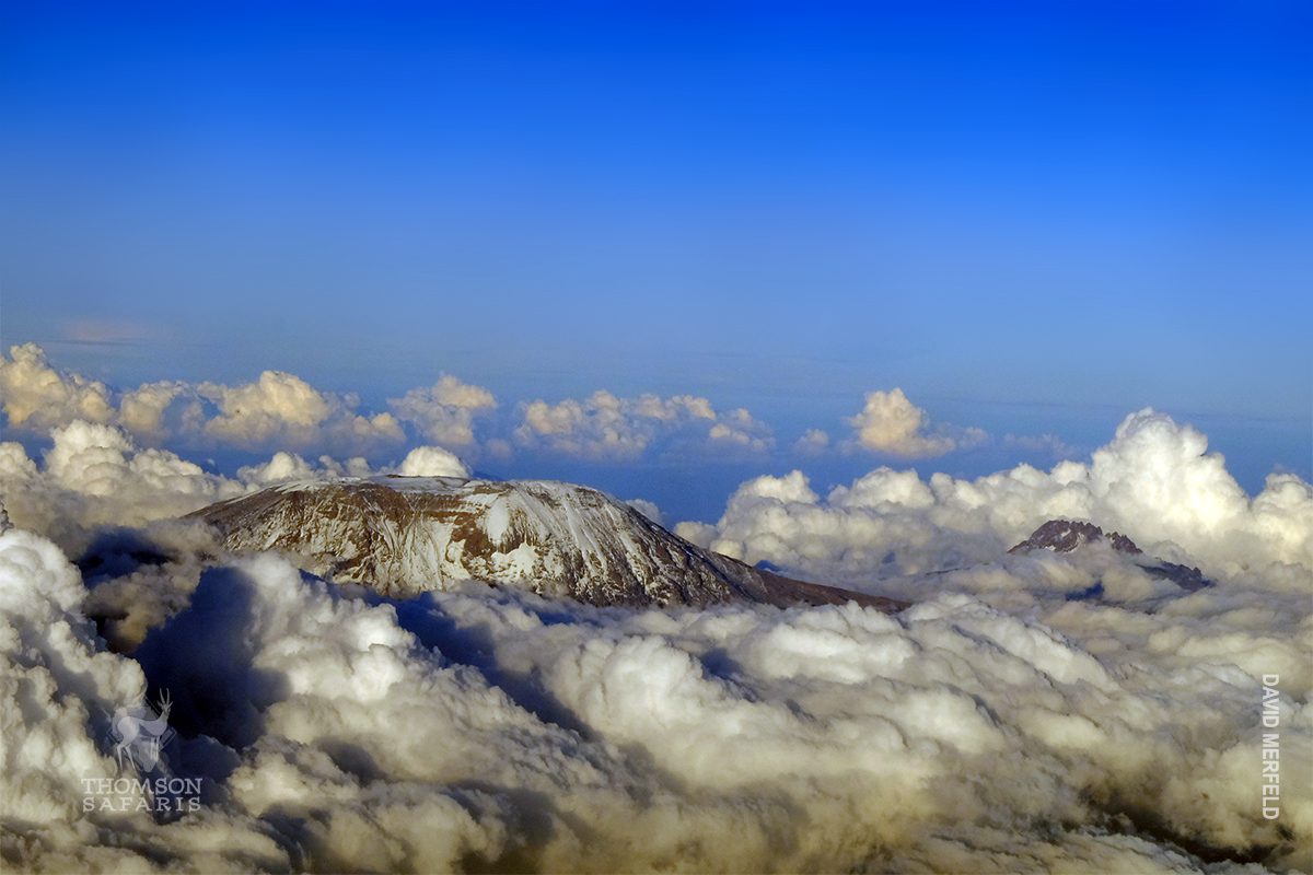 birds eye view of kilimanjaro
