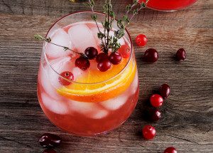 gin and tonic with cranberries