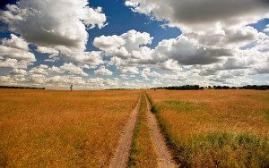 road through the serengeti plains