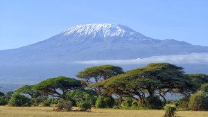 mount kilimanjaro with snow