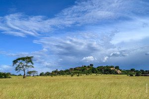 rocky outcrop kopje in serengeti