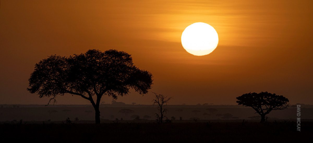 sunrise in serengeti