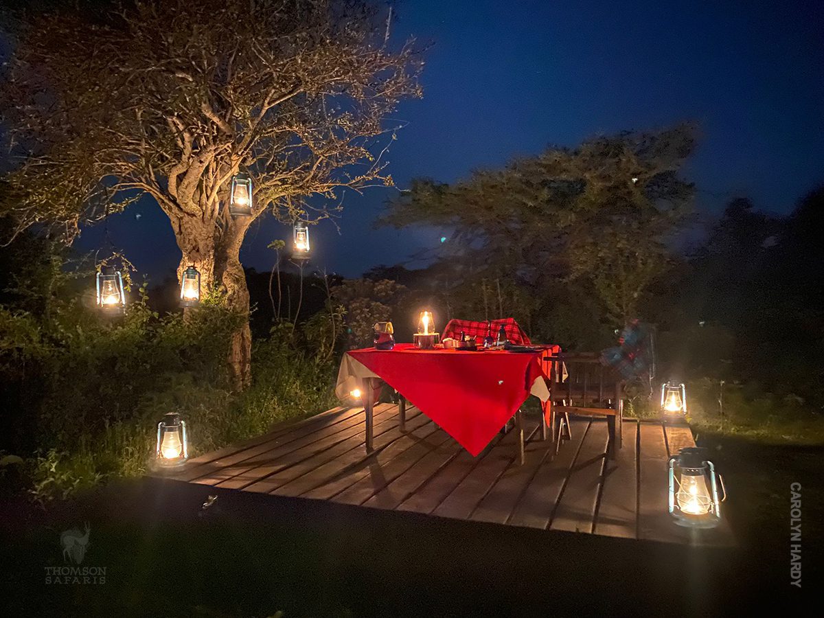 honeymoon safari private dinner in serengeti 