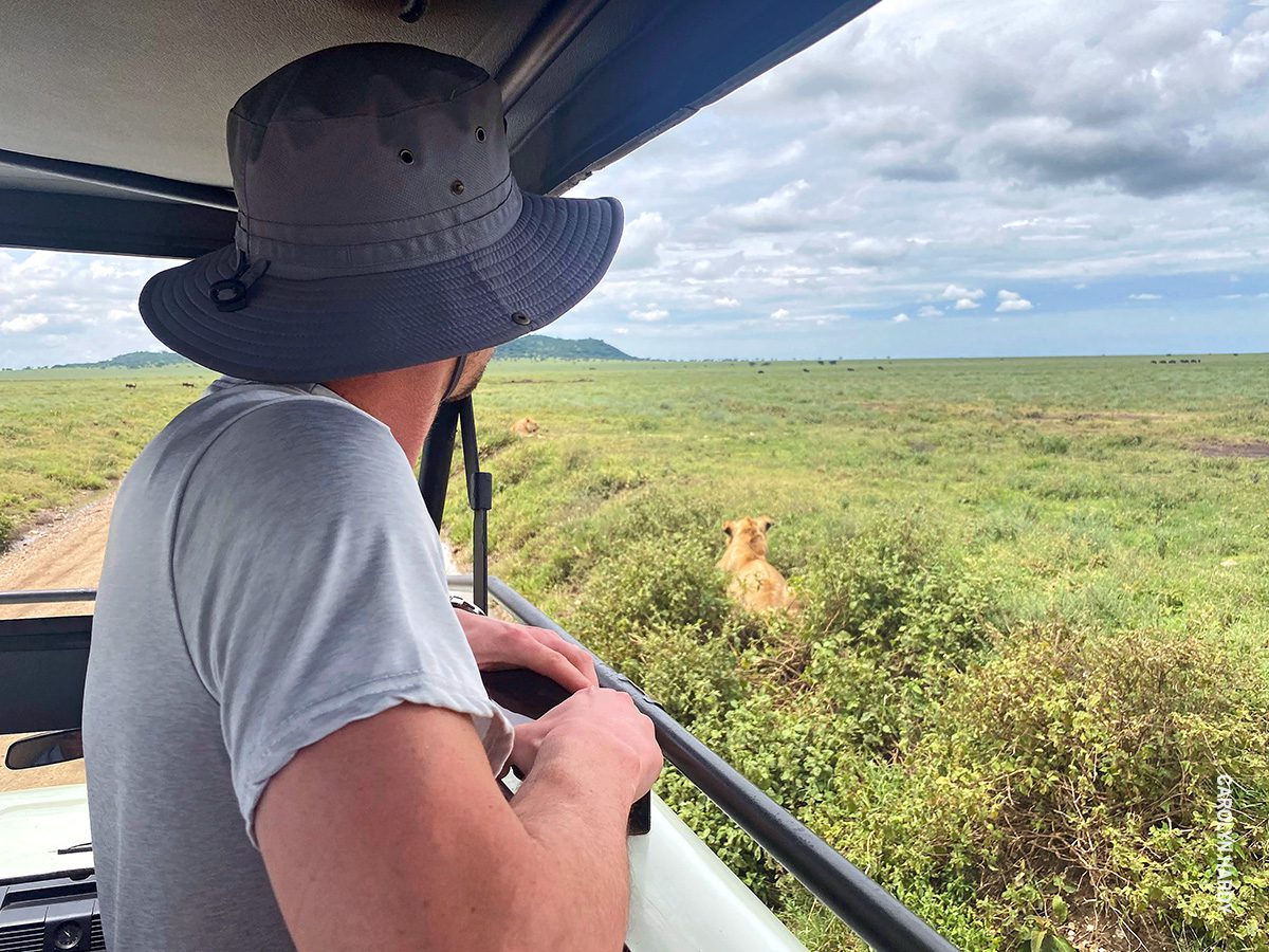 wildlife viewing in serengeti national park