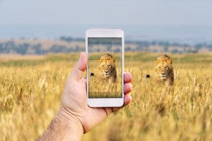can i use my smartphone on safari