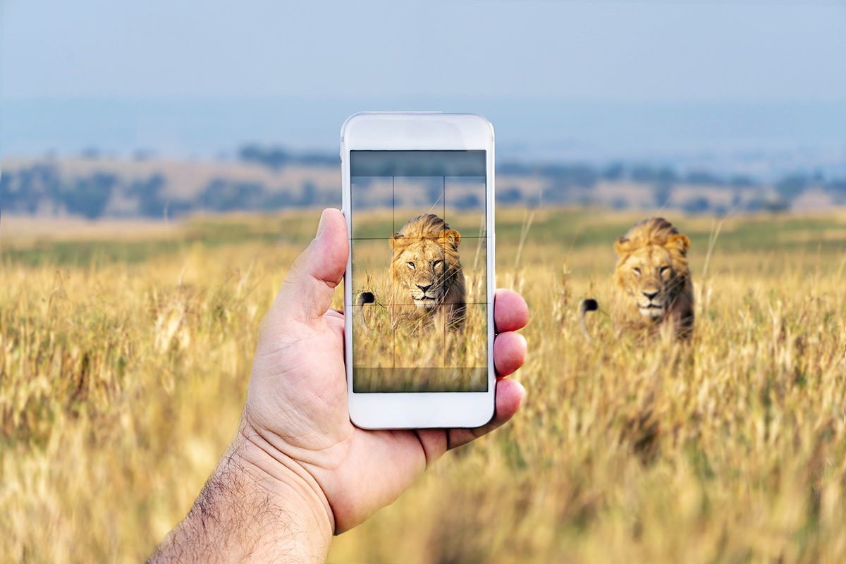 can i use my smartphone camera on safari