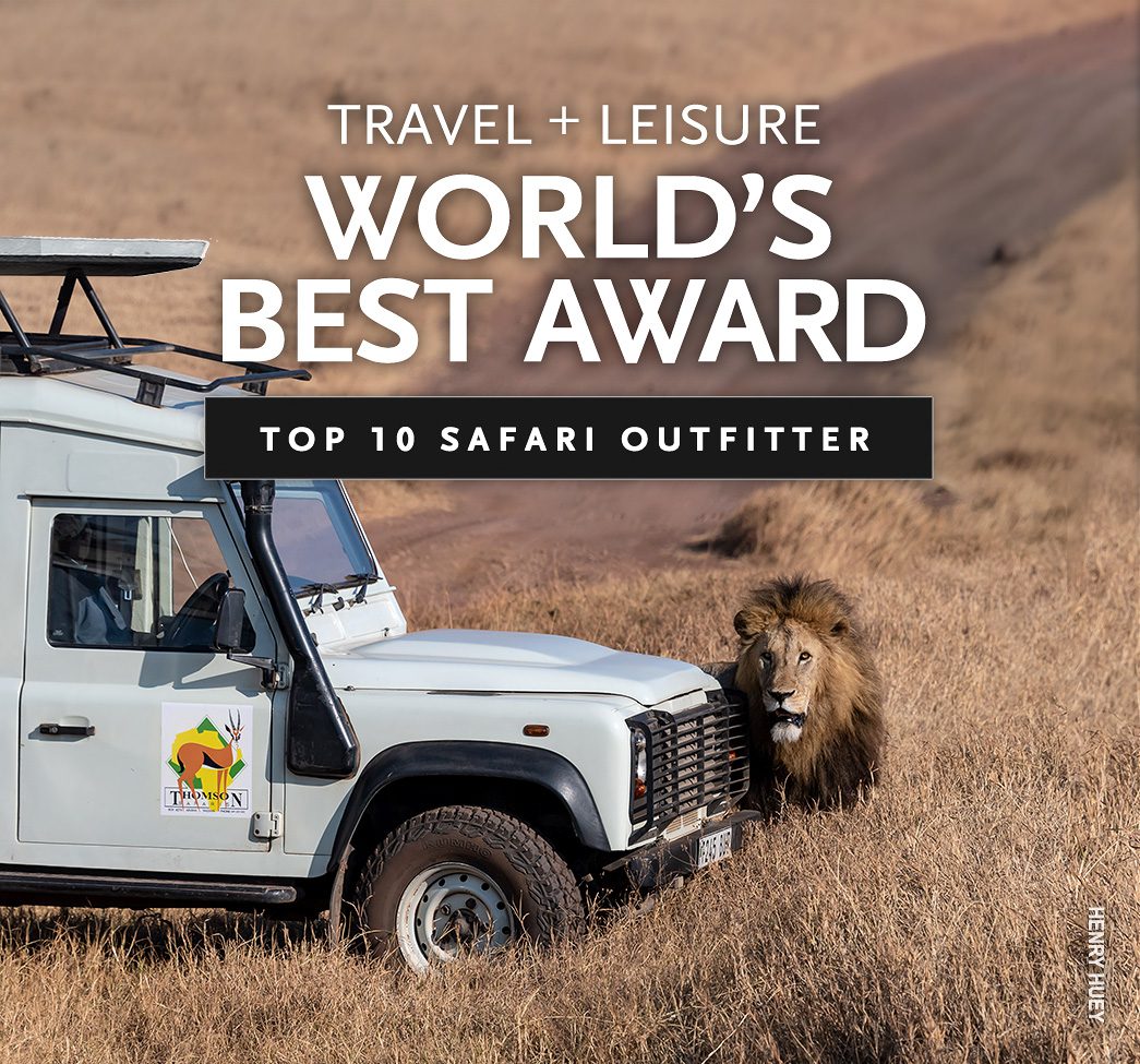 thomson safaris best safari operator award