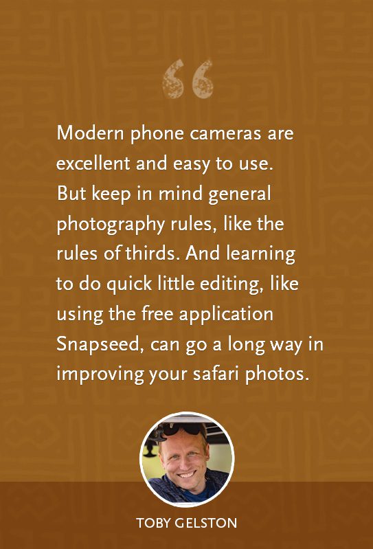 toby gelston quote on safari photography