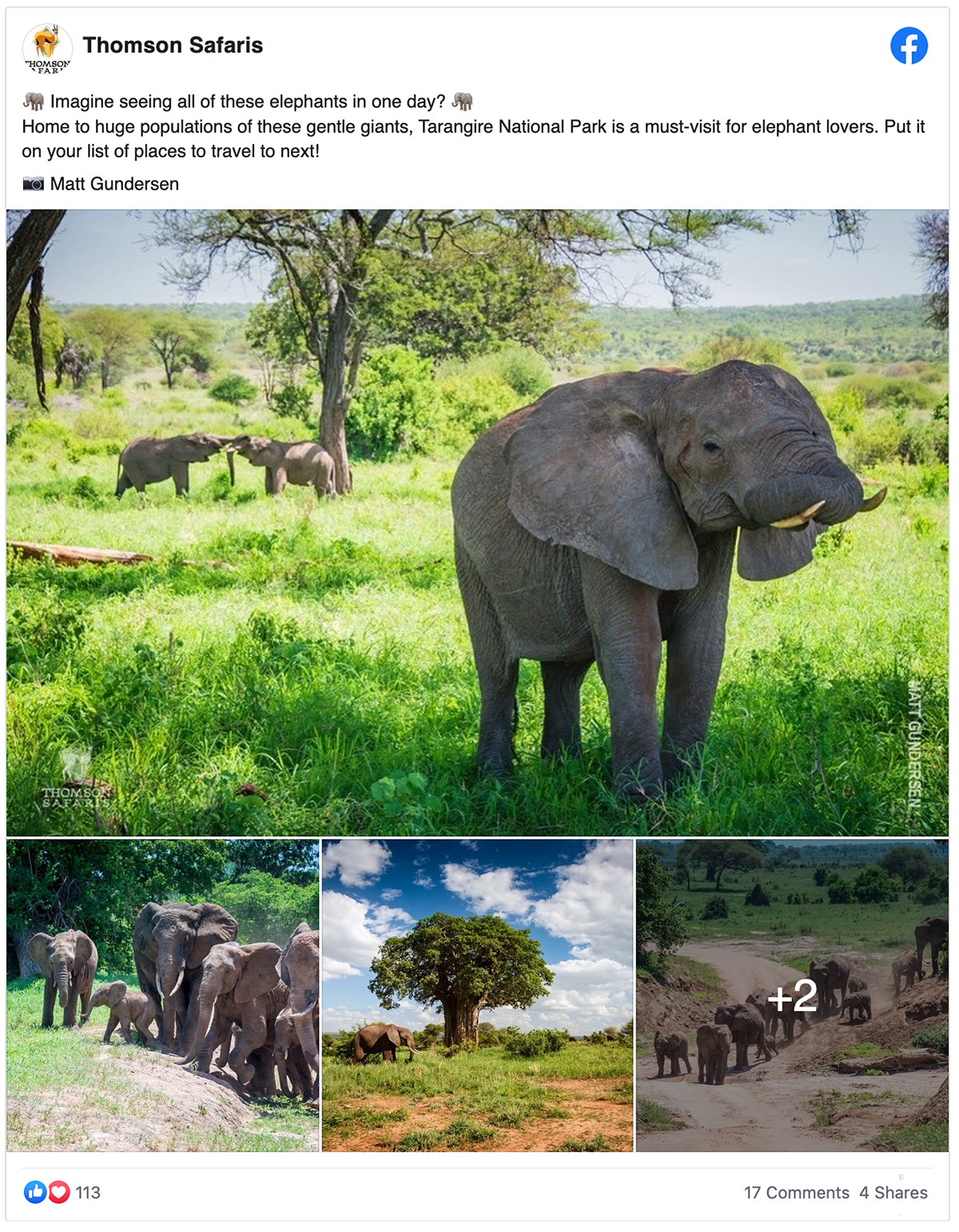 elephants facebook post