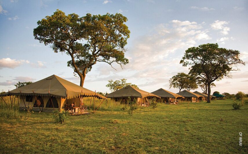 thomson serengeti nyumba camp