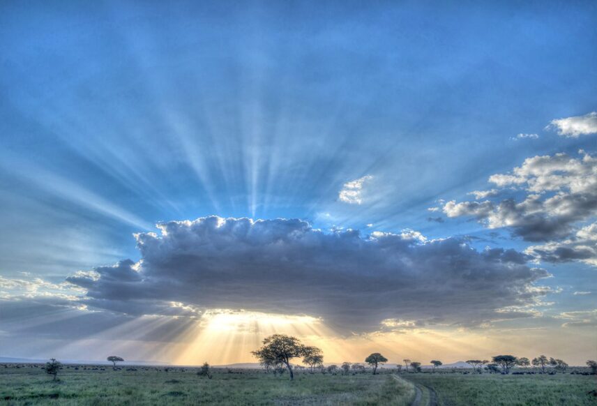 sunrise in serengeti on safari