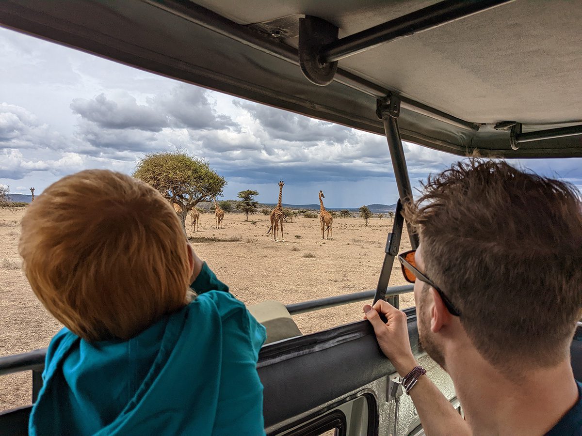 dad and son watch giraffes from land rover
