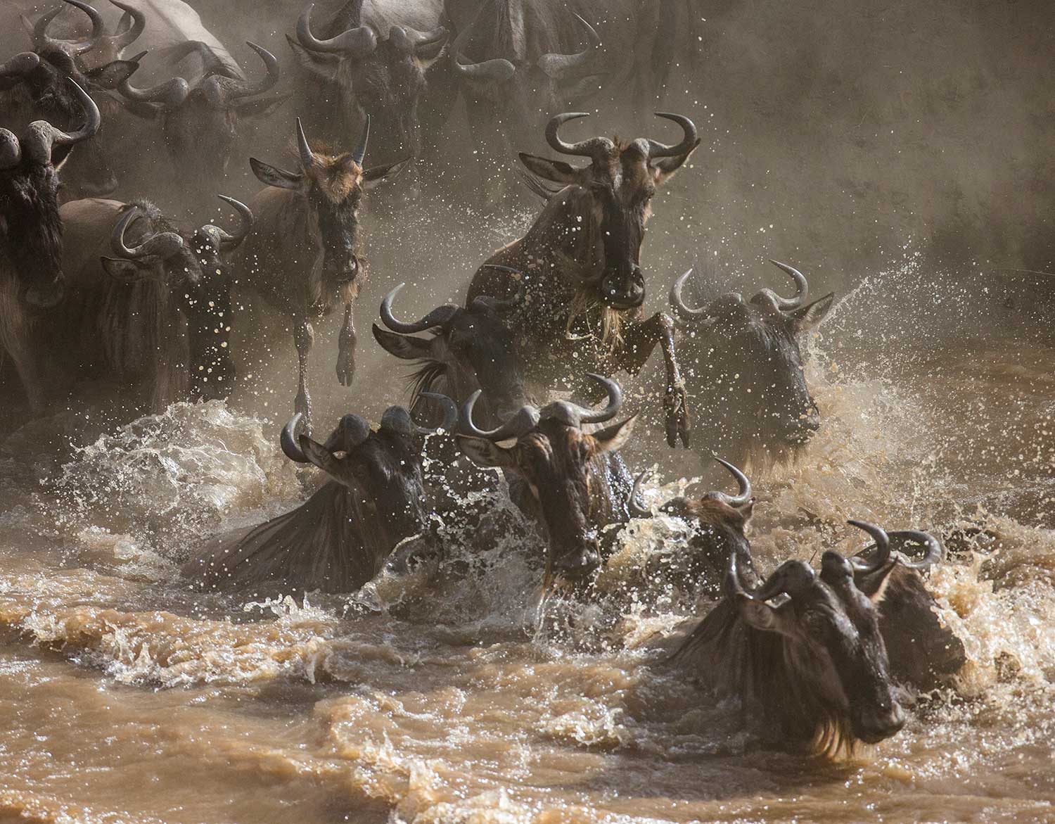 great migration river crossing