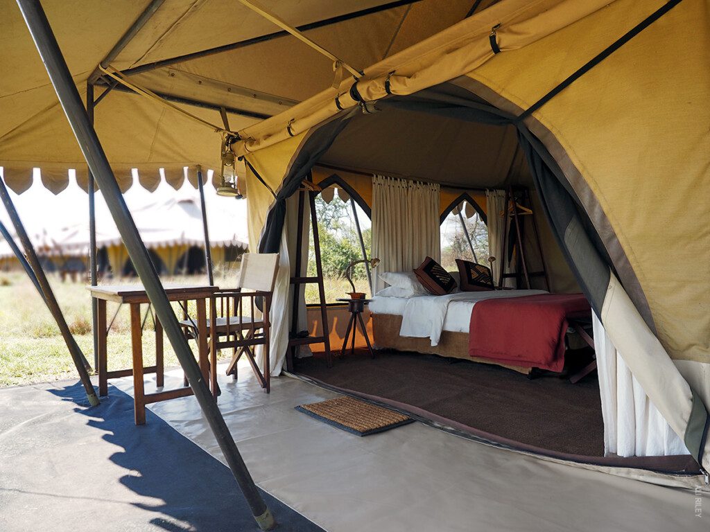 thomson nyumba tent in serengeti tanzania