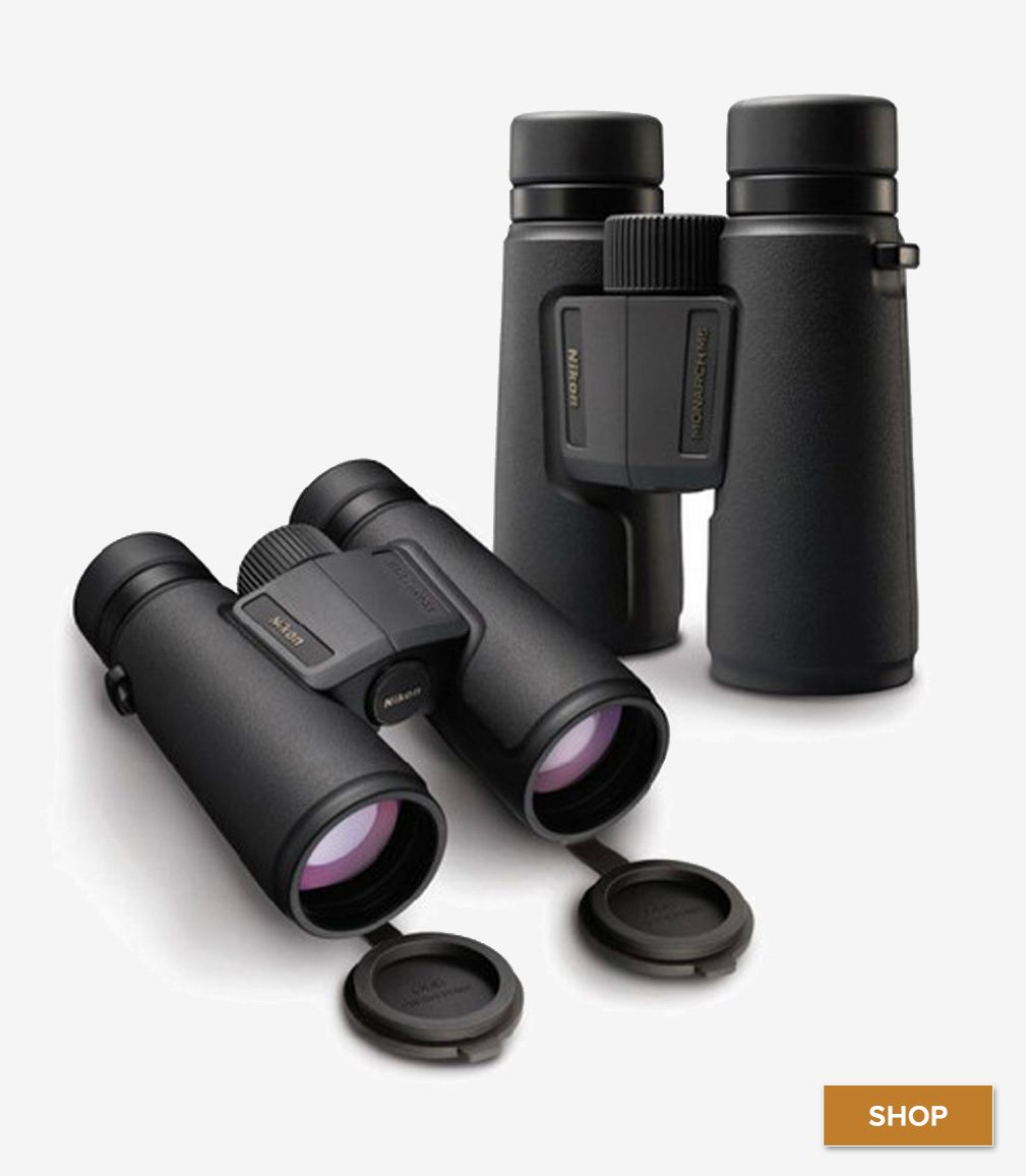 Nikon monarch binoculars