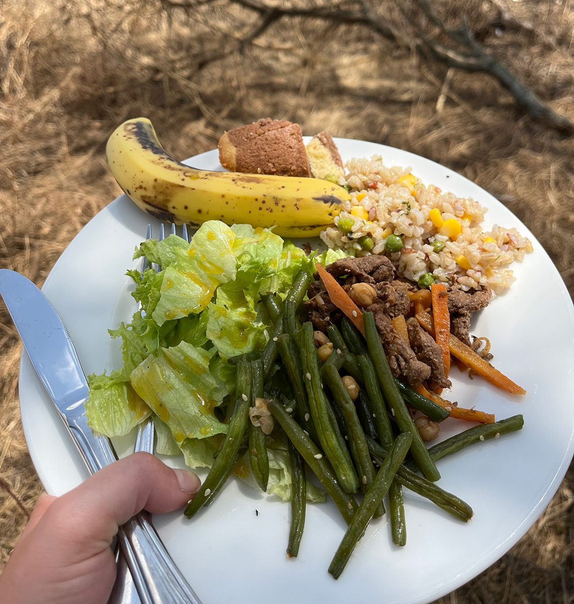 bush lunch served by thomson safaris guides