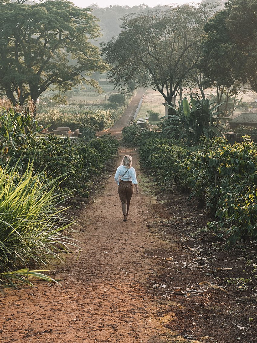 walking through gardens and farm at gibbs farm in tanzania