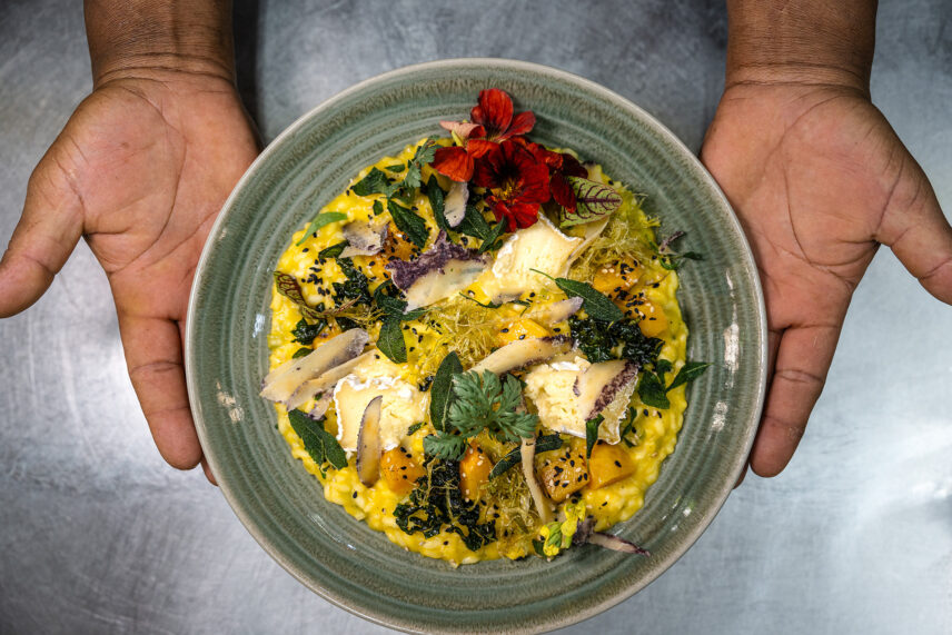 gourmet cuisine at gibbs farm