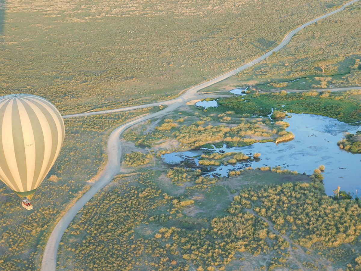 hot air ballooning over serengeti at dawn