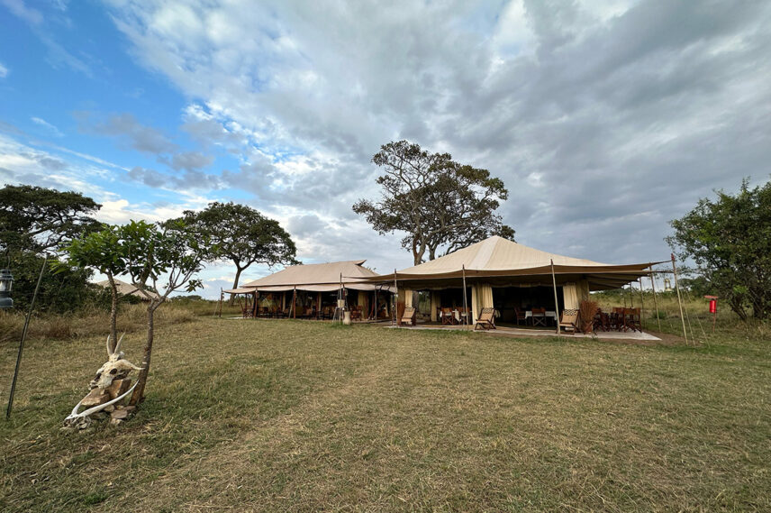 thomson safaris northern serengeti nyumba camp