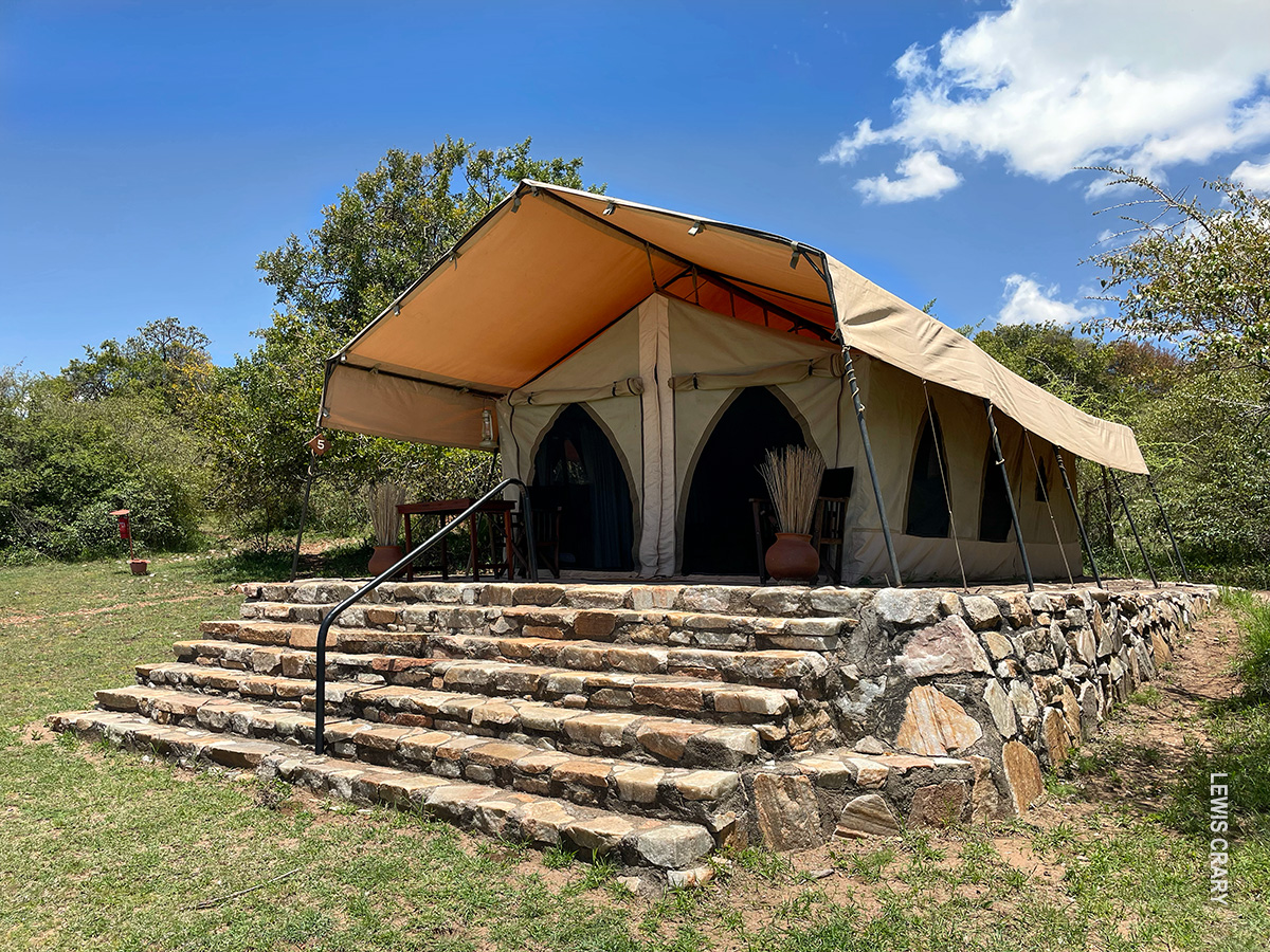 thomson nyumba tent in eastern serengeti