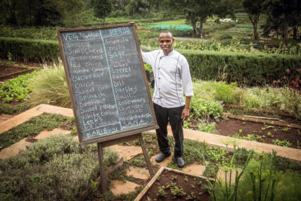 gibbs vegetable garden