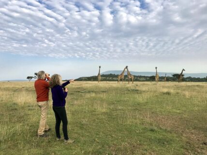 rick and judi looking at giraffes