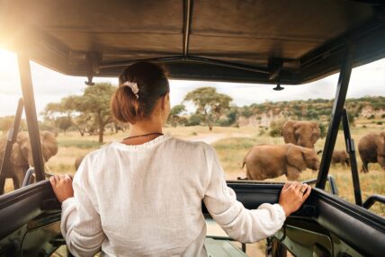 woman watching elephants from landrover