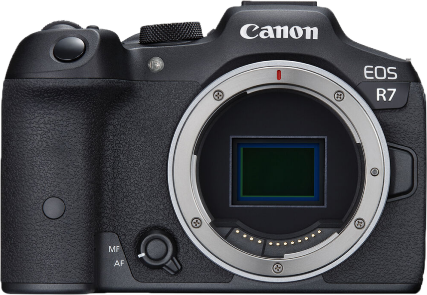 canon eos r7 mirrorless camera for safari
