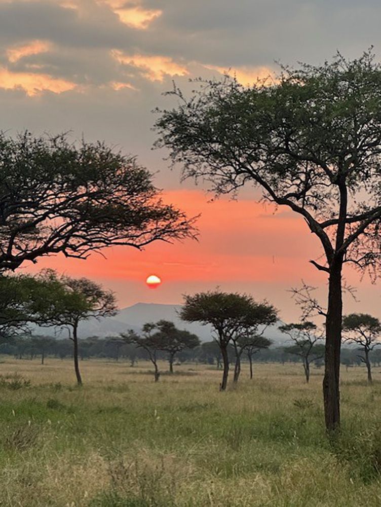 tanzania sunset photo from thomson serengeti camp