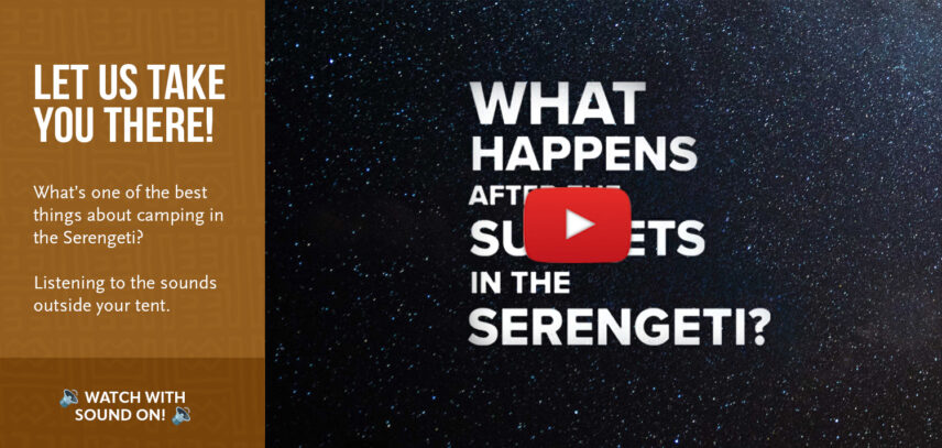 after sunsets in serengeti