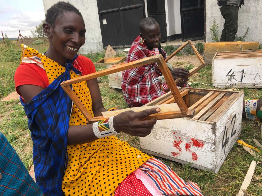 women build frames for beekeeping in tanzania
