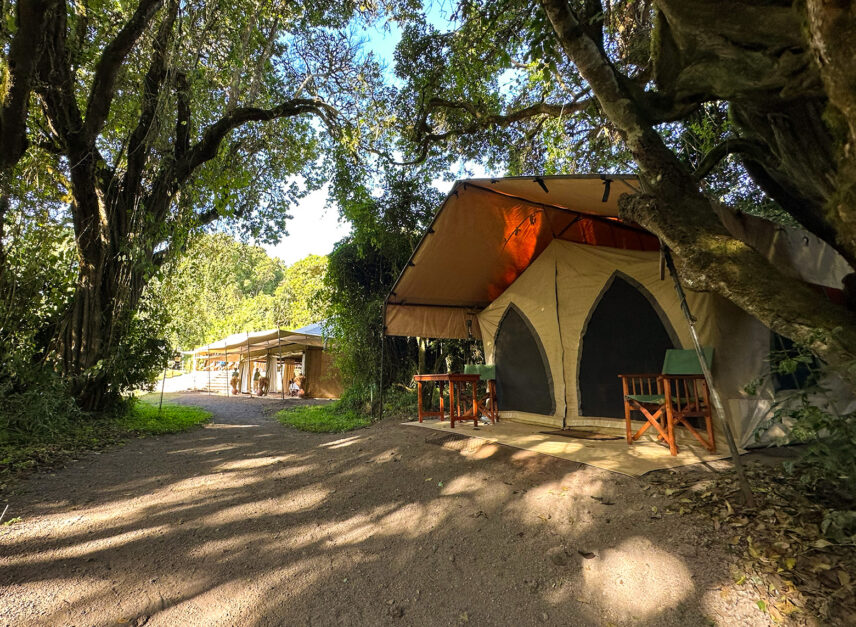 tent at ngorongoro nyumba camp