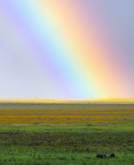 rainbow over ngorongoro crater