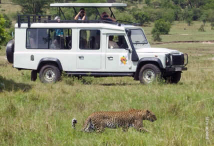 leopard by land rover