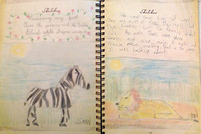 safari journal sketches from child