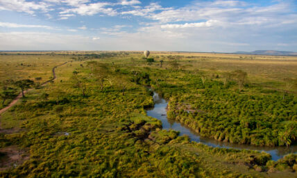 aerial view of serengeti from hot-air balloon