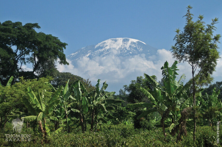 kilimanjaro tanzania