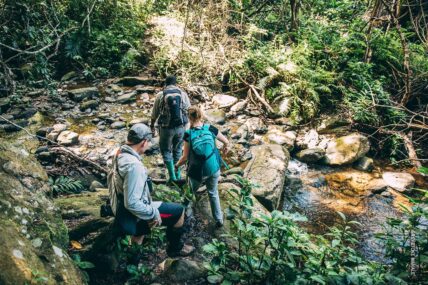 hike to find chimpanzees