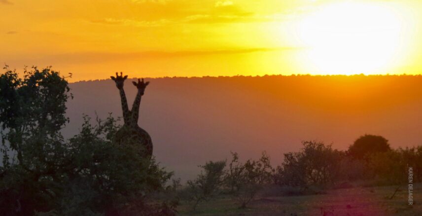 sunset at nature refuge