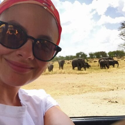 elephants close to land rover on family safari in serengeti