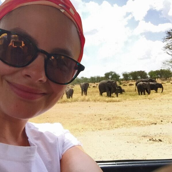 elephants close to land rover on family safari in serengeti