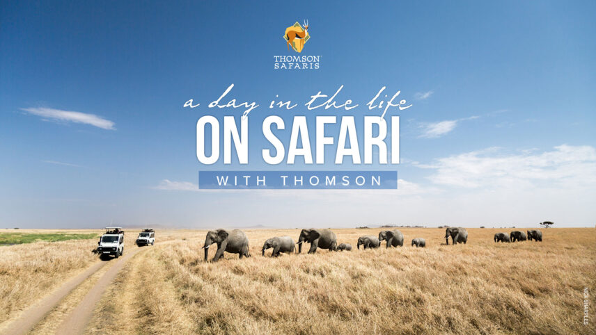 day in the life on thomson safari webinar