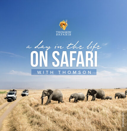 on safari with thomson webinar
