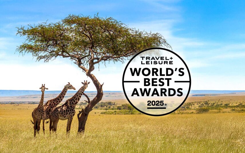 thomson safaris travel and leisure award winning safaris