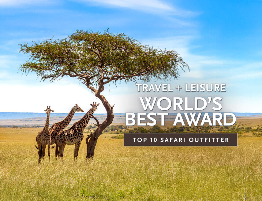 travel and leisure worlds best awards safari outfitter